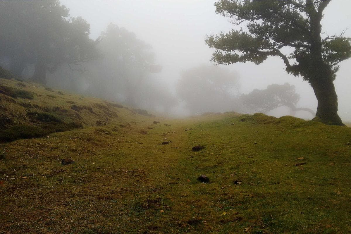 The End in Burnie, Tasmania